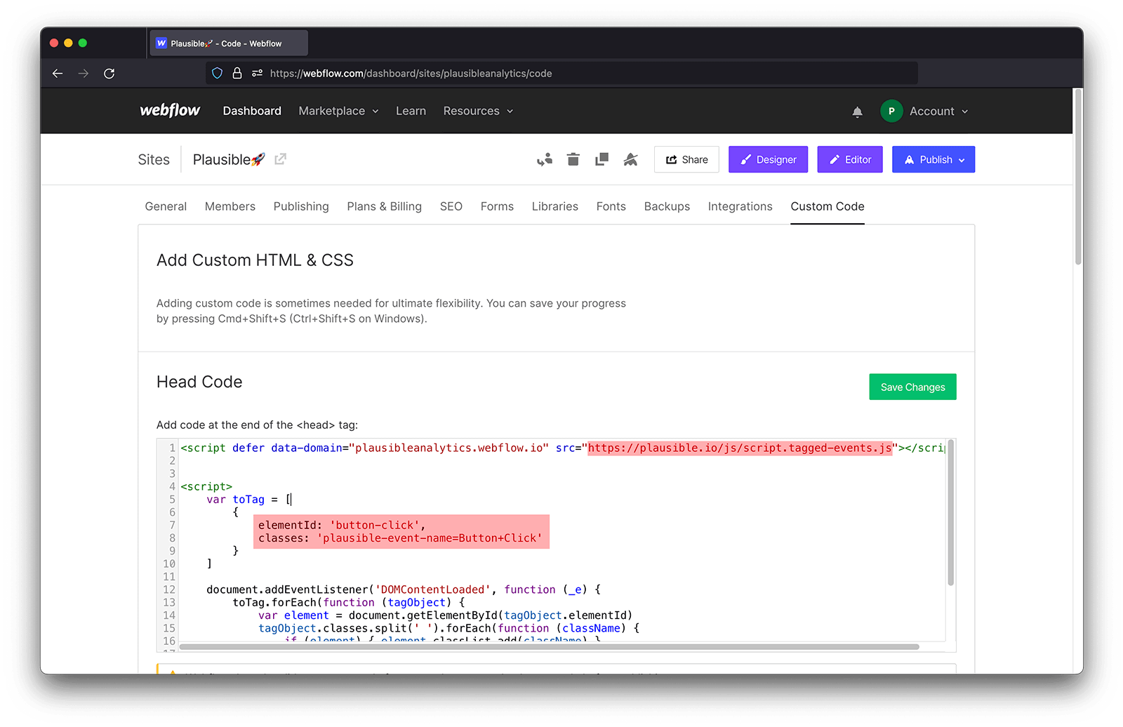 Modify Plausible script webflow